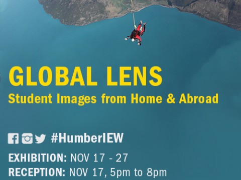 Global Lens 2014 Poster